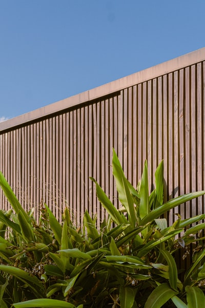 Brown wooden fence near the green plants
